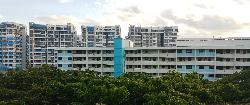 Blk 419 Bedok North Street 1 (Bedok), HDB 3 Rooms #37632582